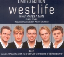 cover_whatmakes2.jpg
